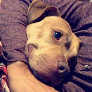 Meet your Posher, Imran